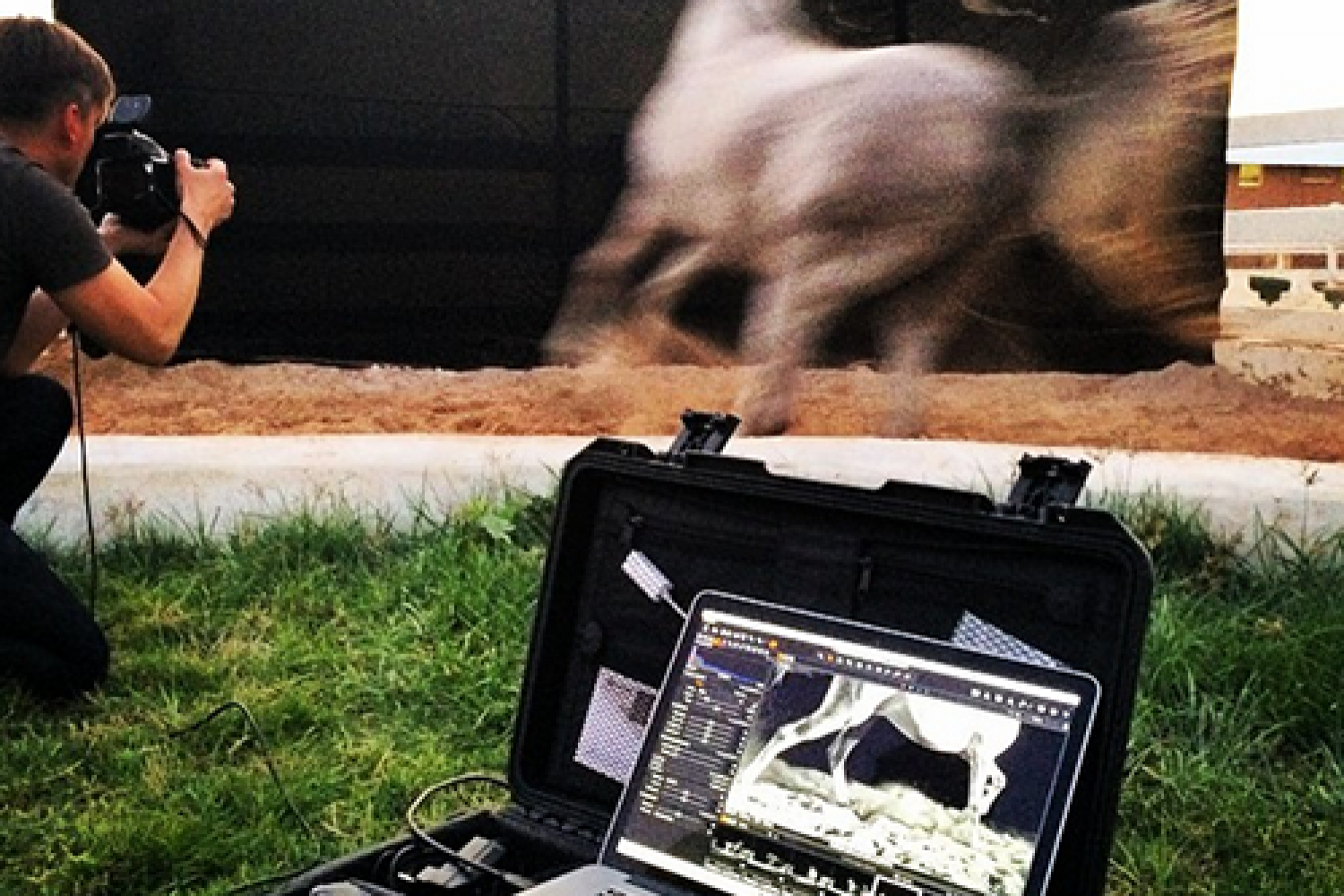 Horse Power, Sport and Luxury Equestrian Photography Saudi Arabia