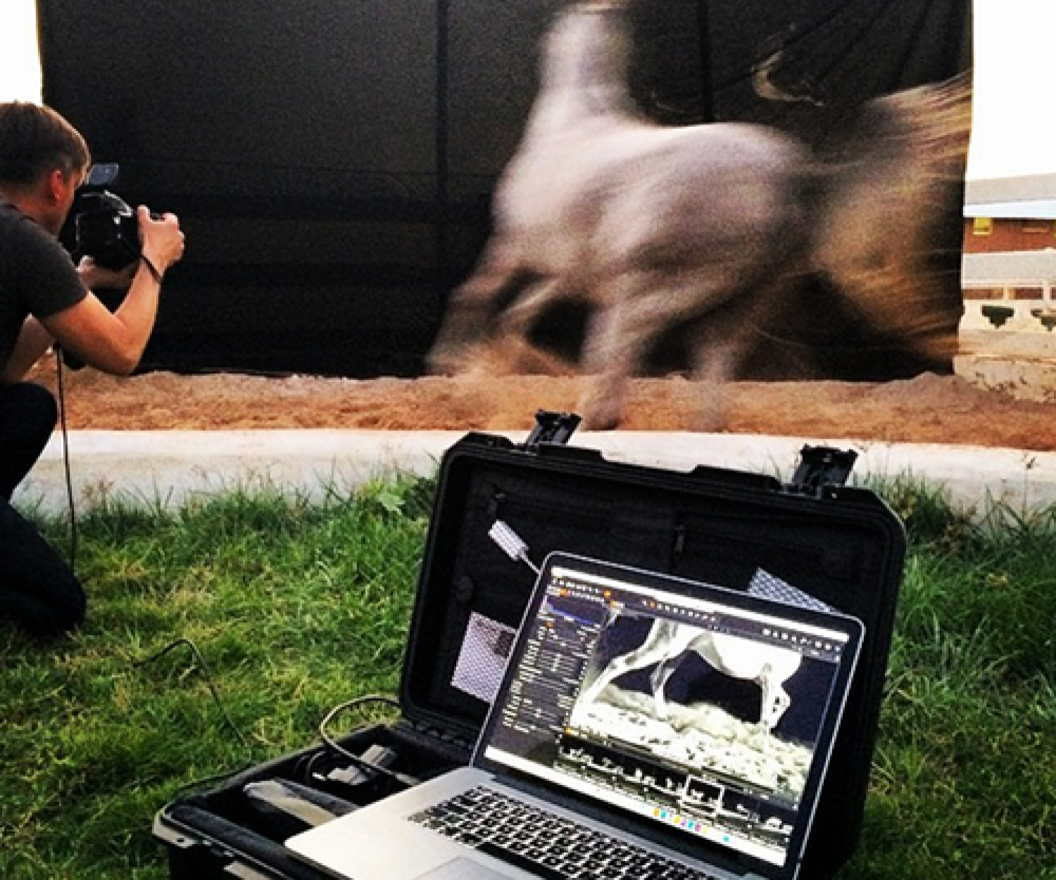 Horse Power, Sport and Luxury Equestrian Photography Saudi Arabia